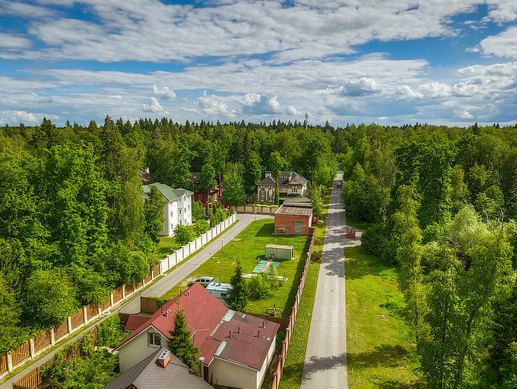 Лесной простор-3