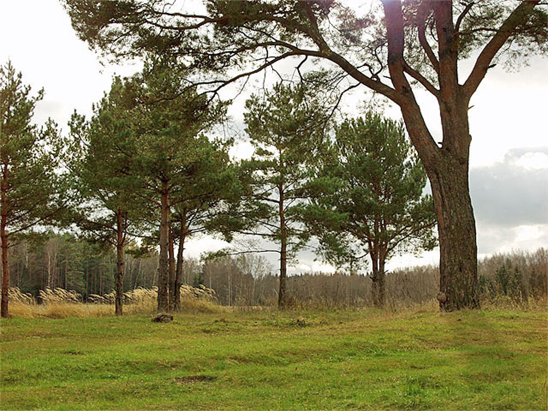 Рузские просторы