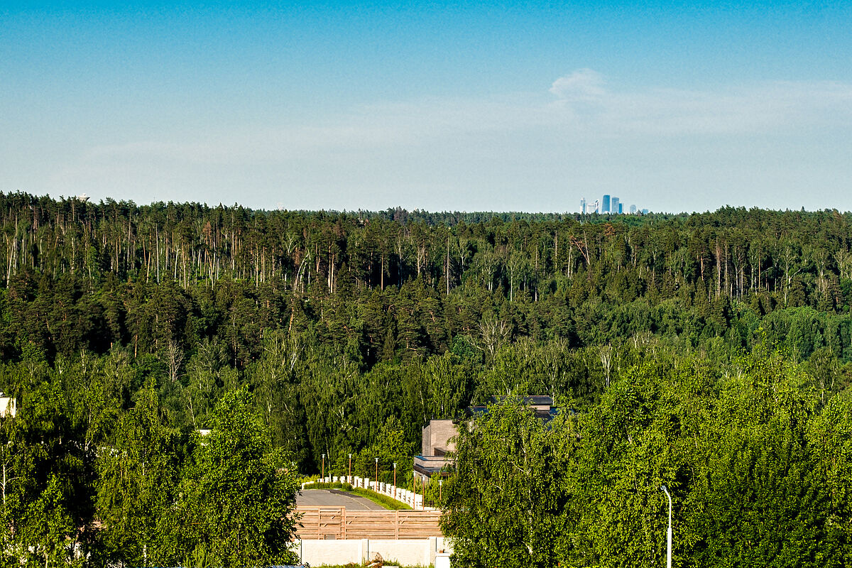 Загородный дом