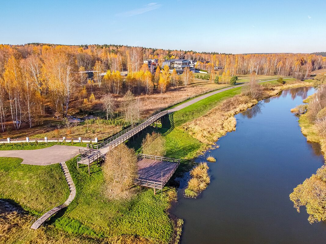 Фото сверху 