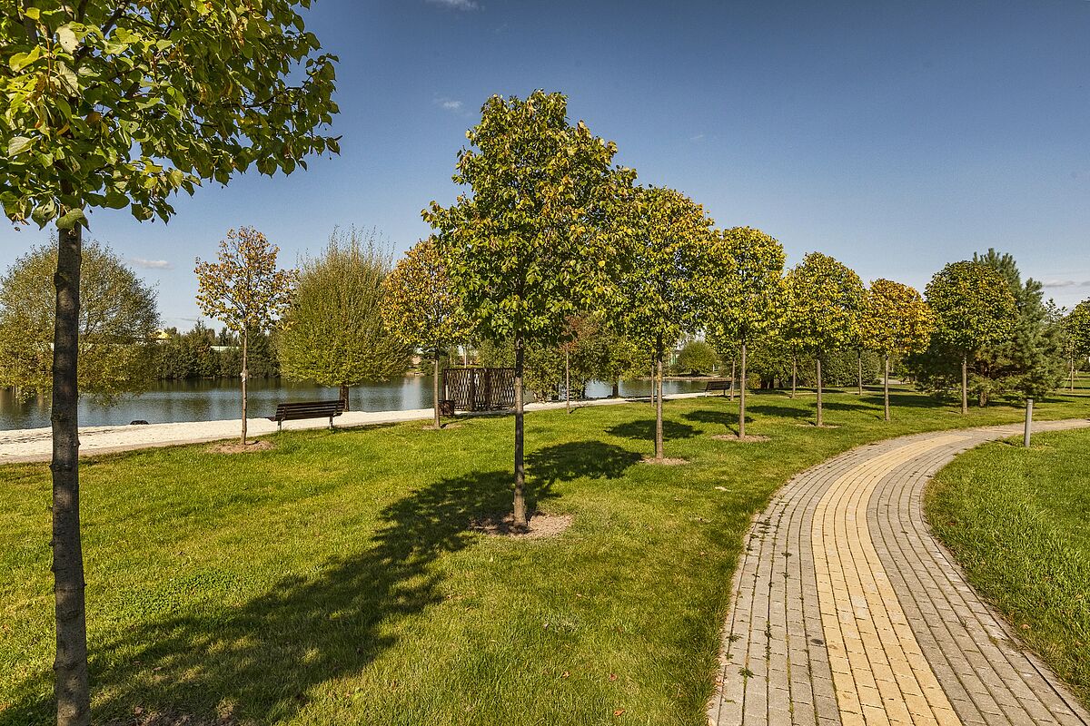 Покровский_9