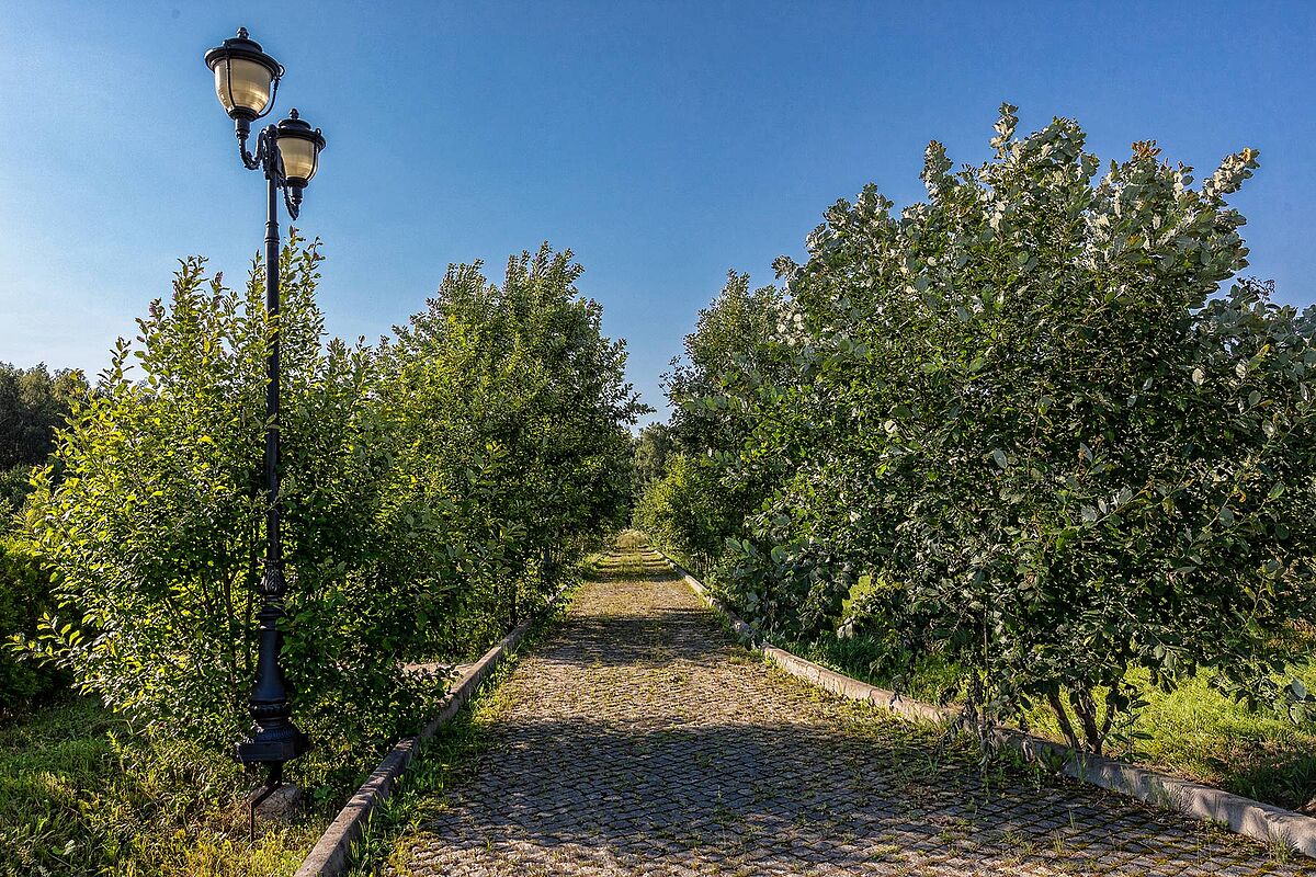 Загородный участок