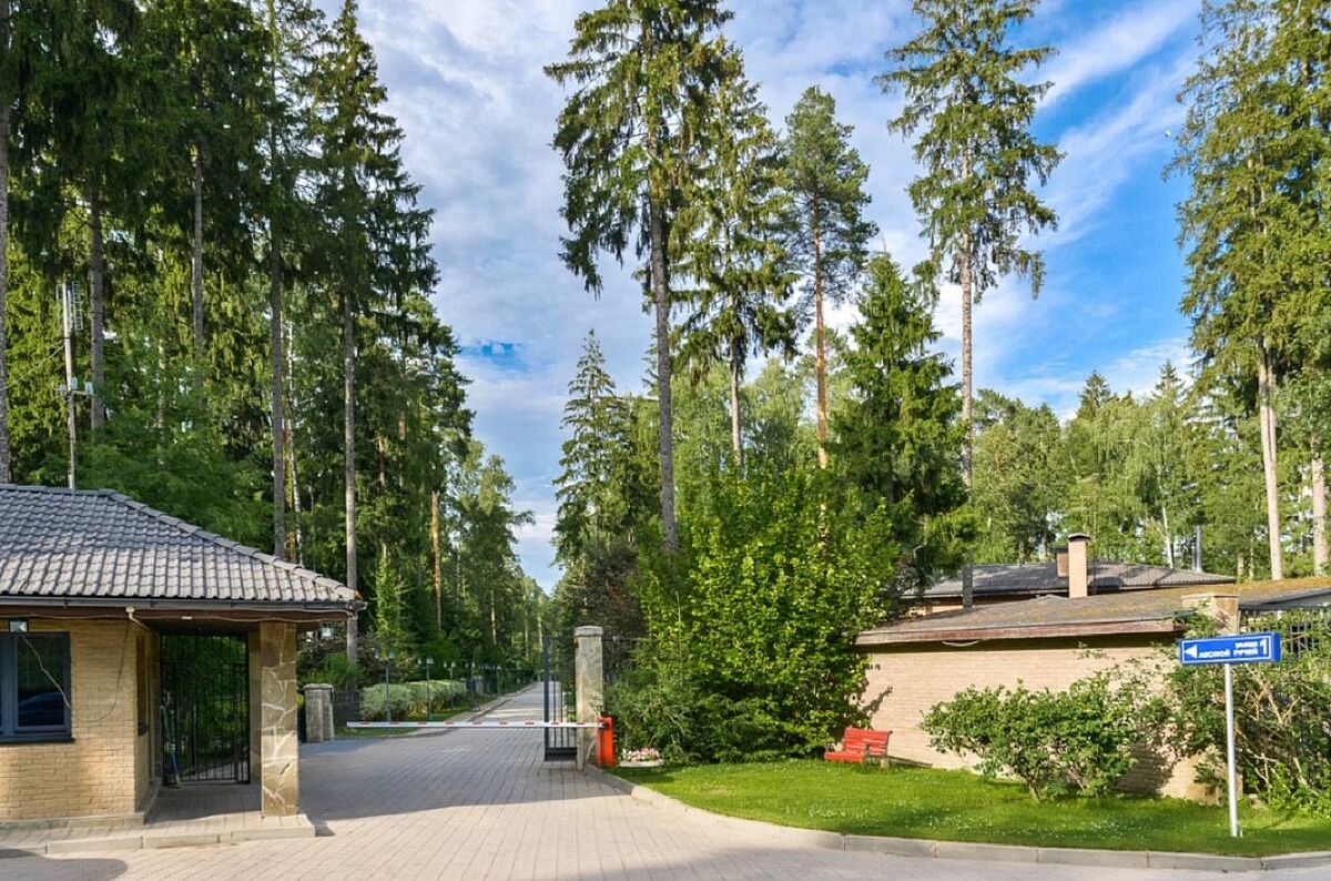 Лесной городок Грибово