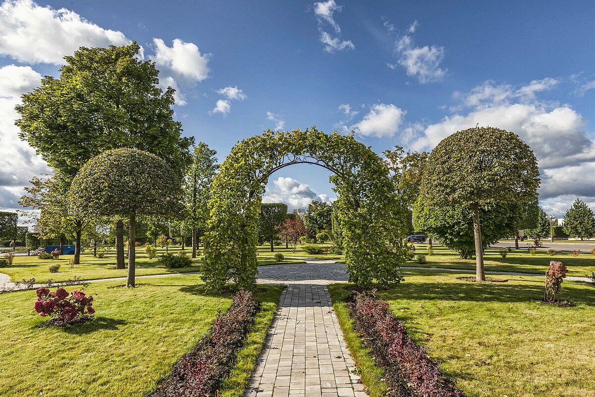 Прогулочная аллея с топиариями