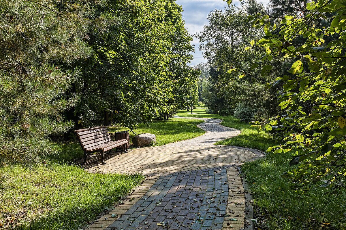 Прогулочная аллея в живописном парке 