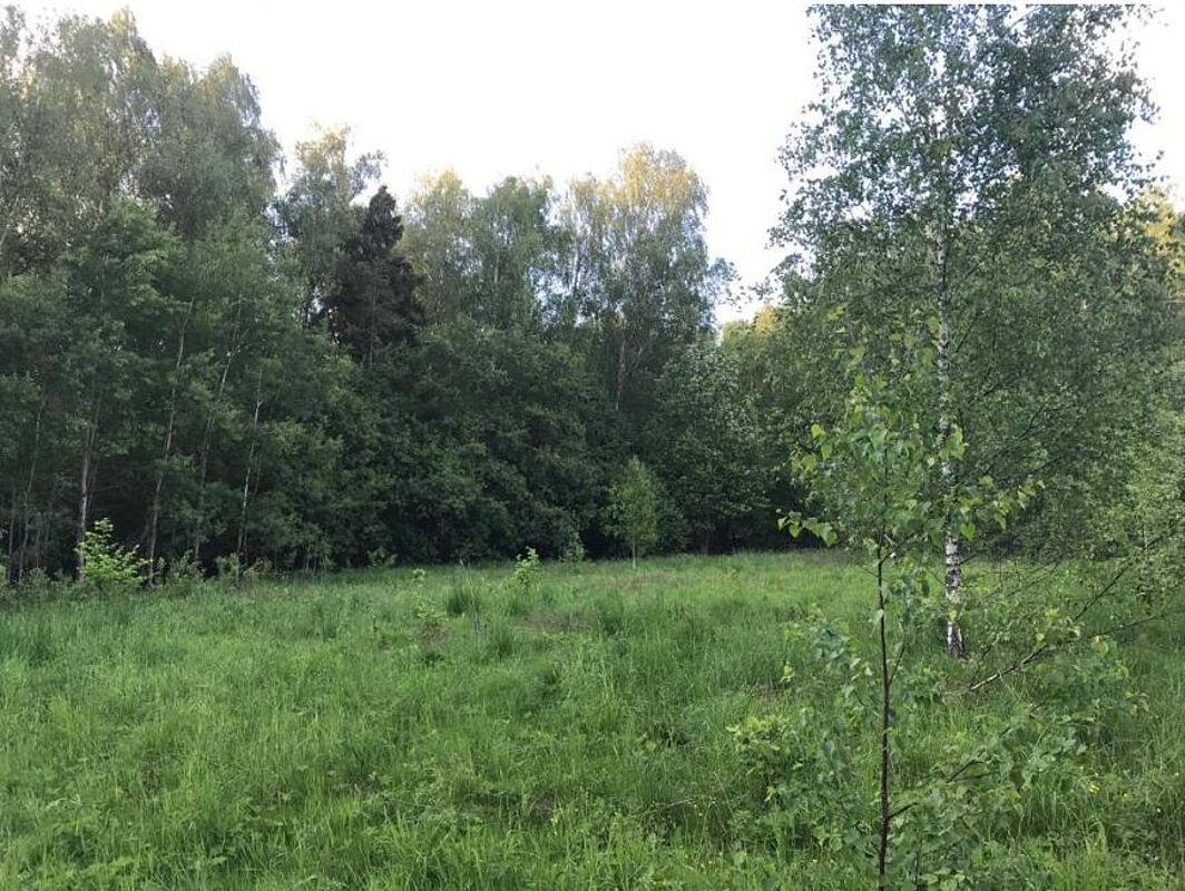 Земельный участок площадью 23 сотки