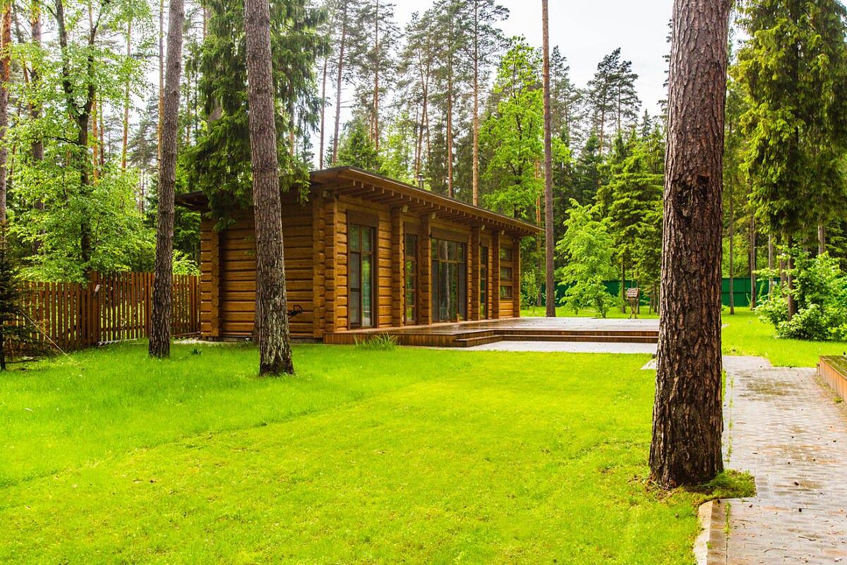 Дом из дерева на лесном участке