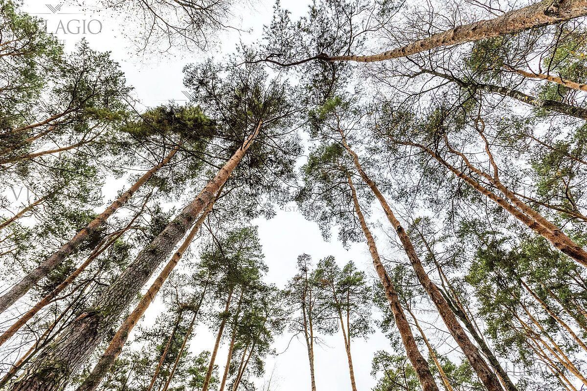 Элитный дом в классическом стиле у Москва-реки