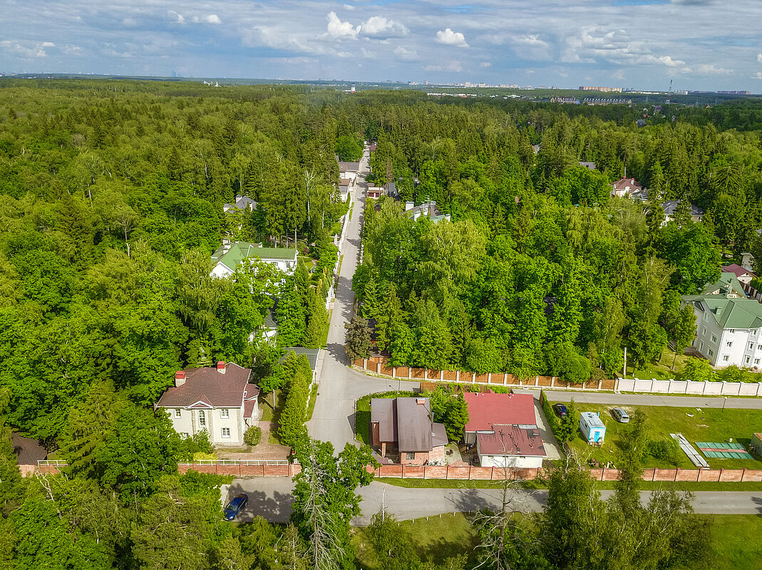 Лесной простор-3