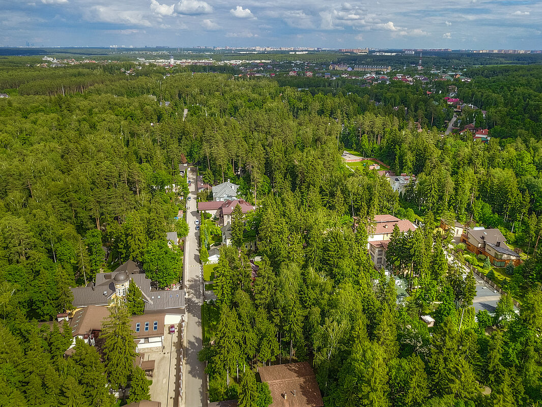 Лесной простор-3