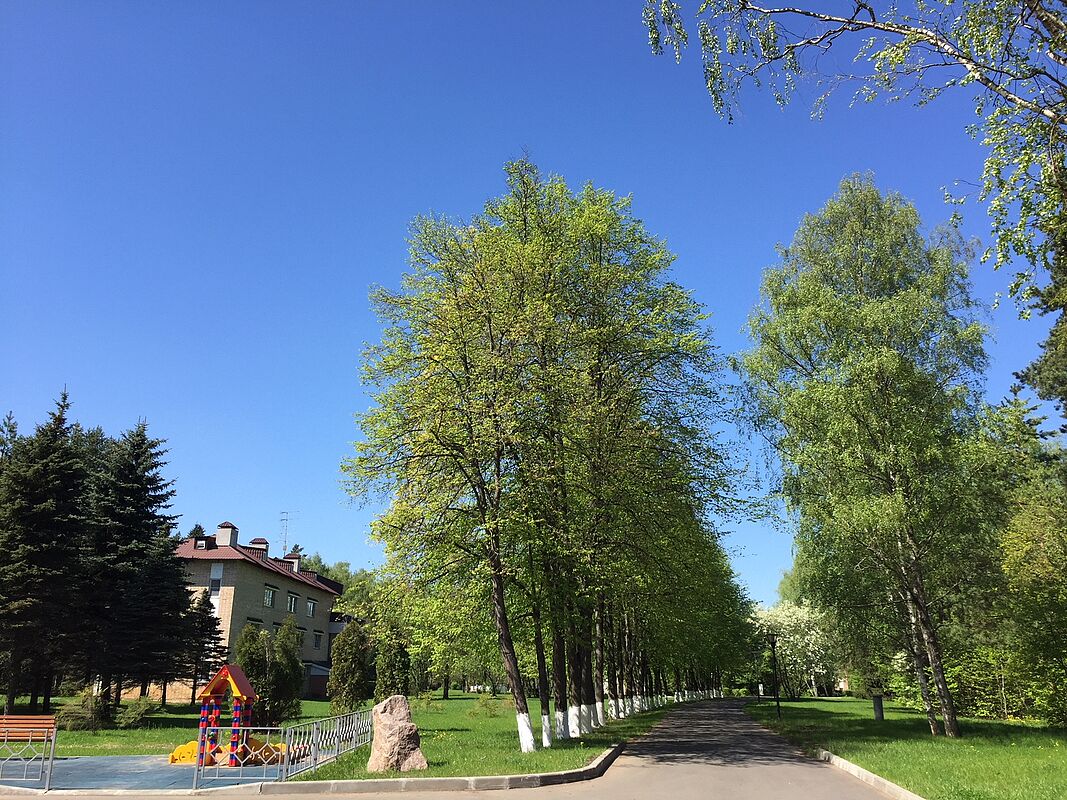 Зелёный дом Десна