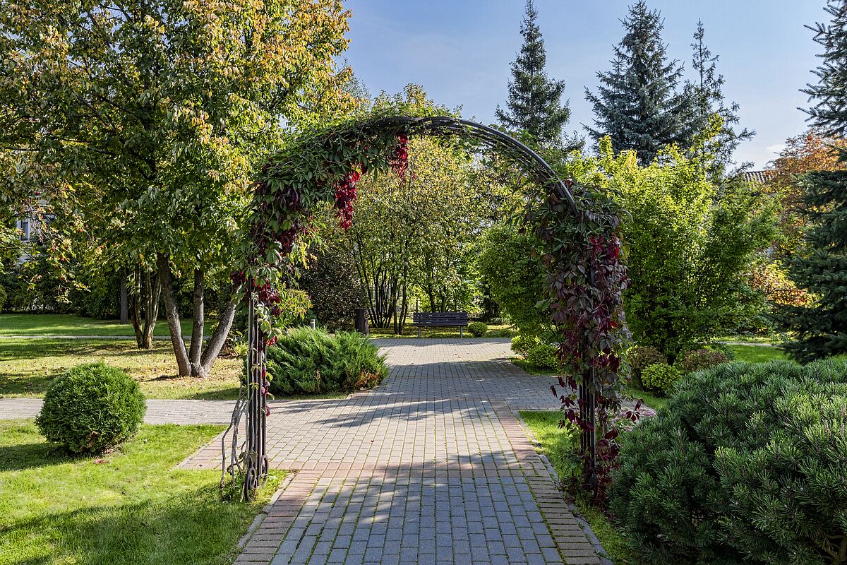 Зелёная арка в живописном парке 3 квартала 