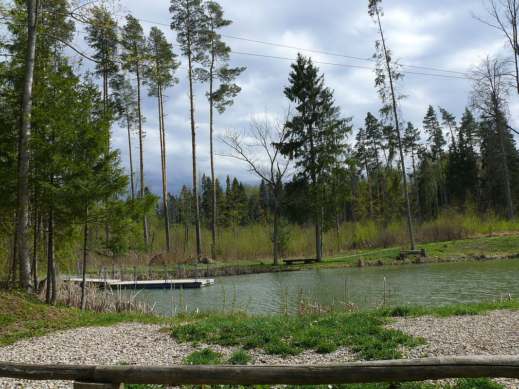 Наука Искусство Литература