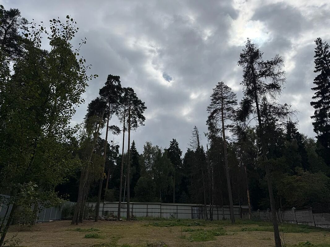 new