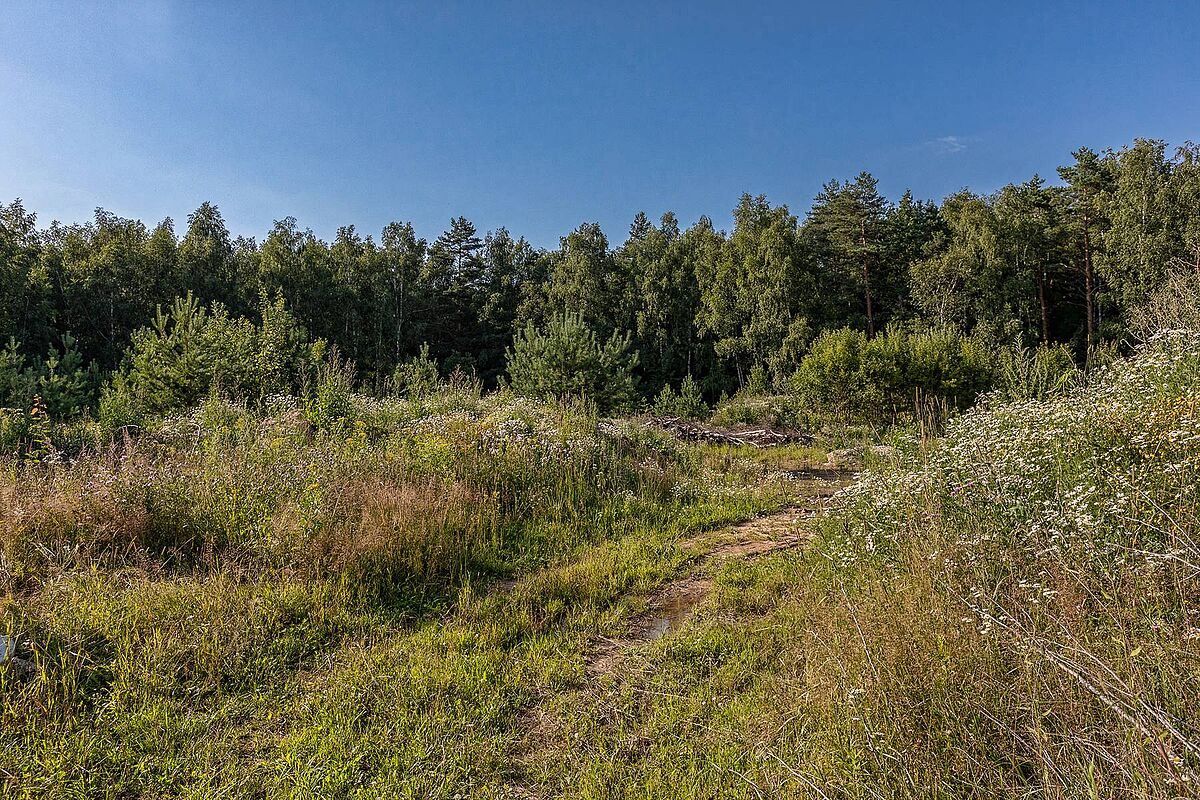 Загородный участок