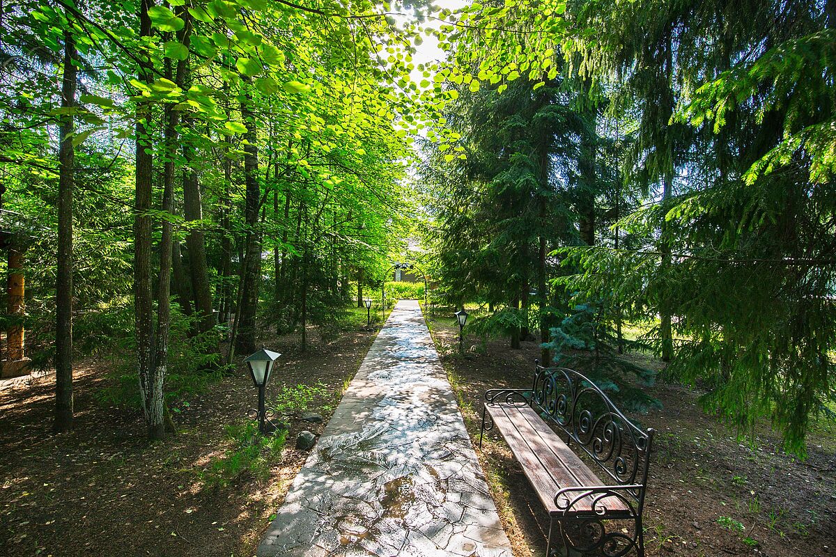 Зеленая роща