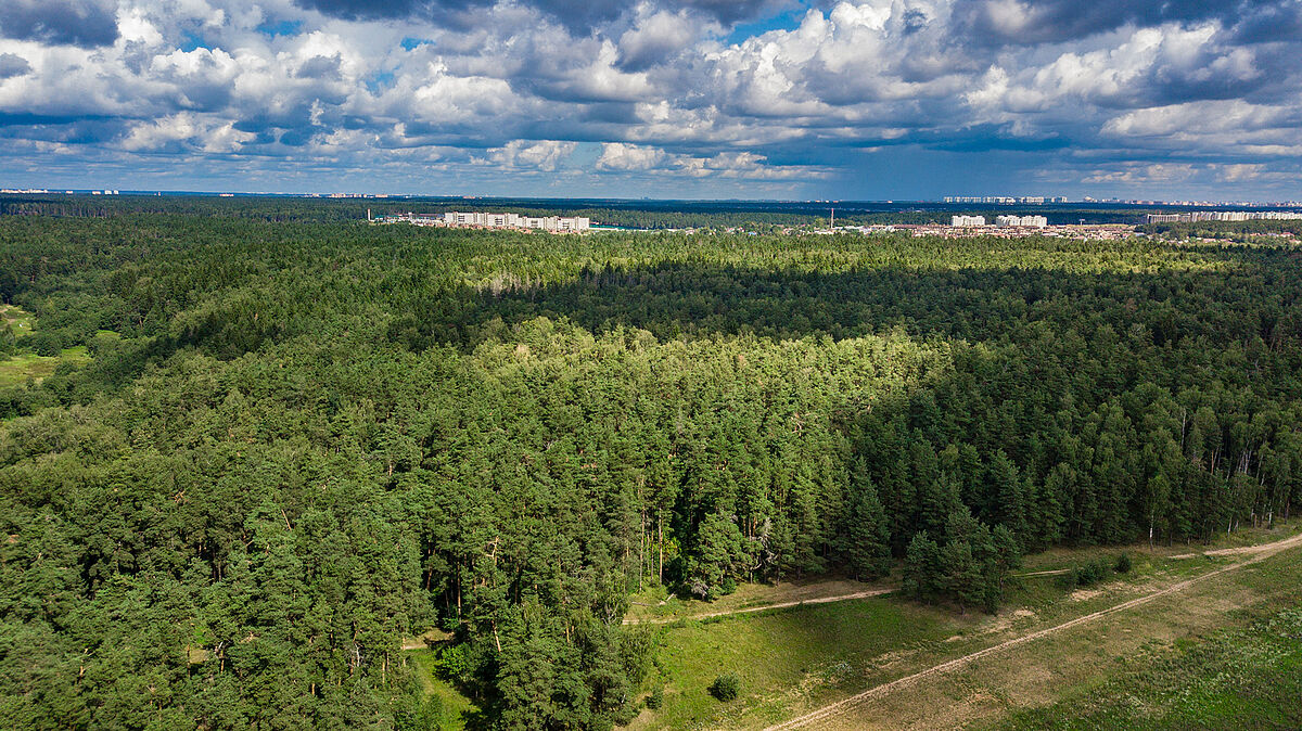 Петровский
