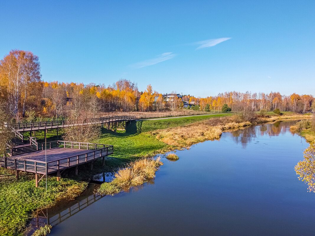 Фото сверху 
