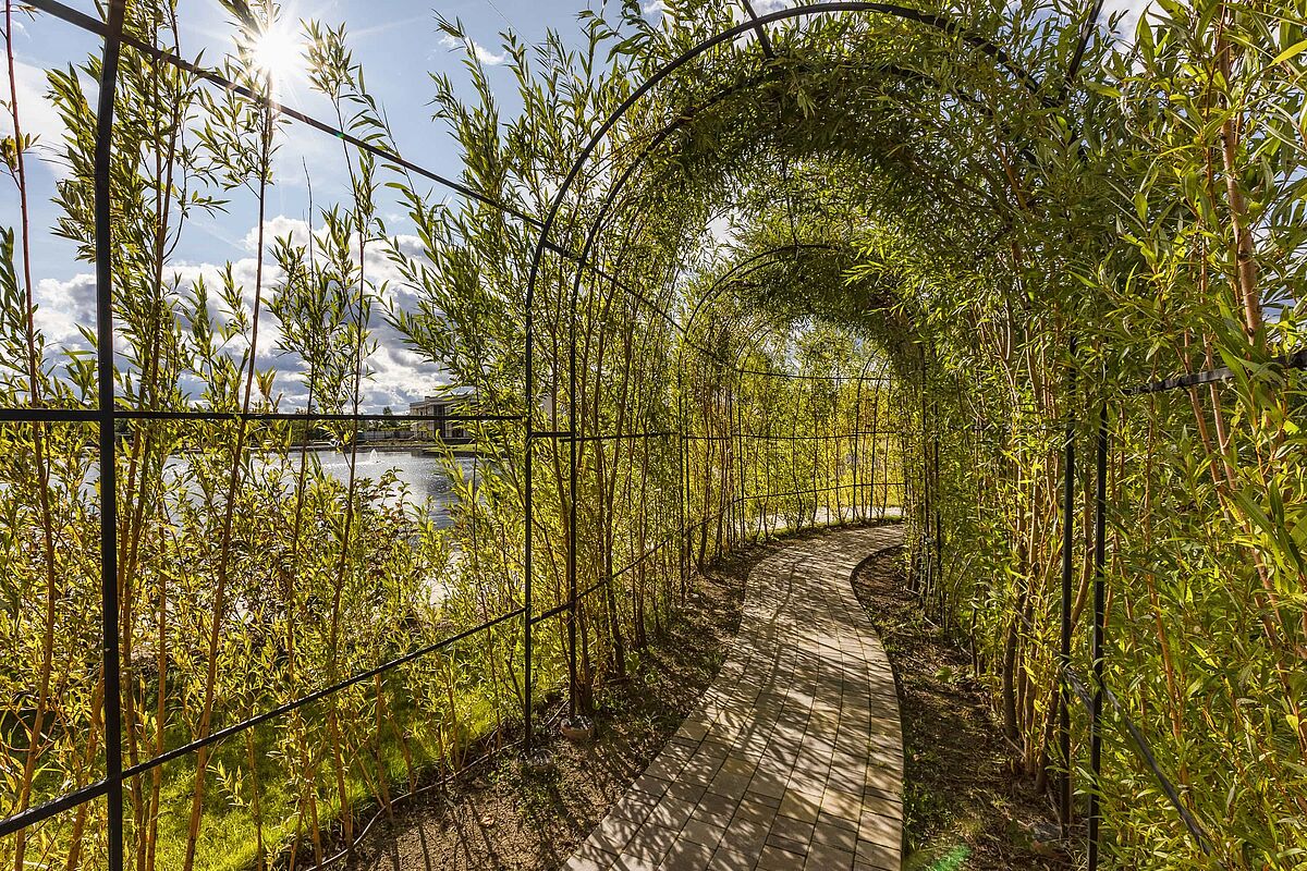 Зелёная галлерея для прогулок вдоль озера 