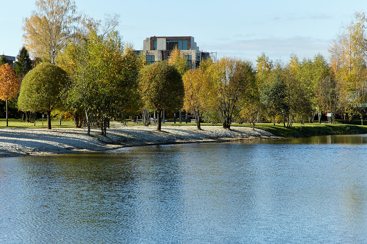 Линия пляжа в центральном парке 