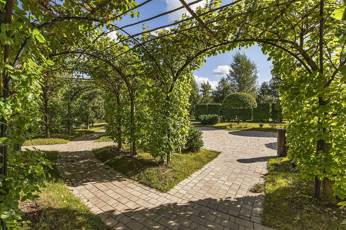 Зелёная галерея для прогулок 