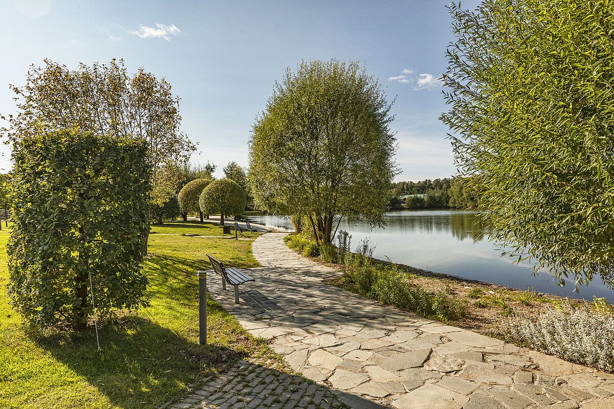 Покровский_6