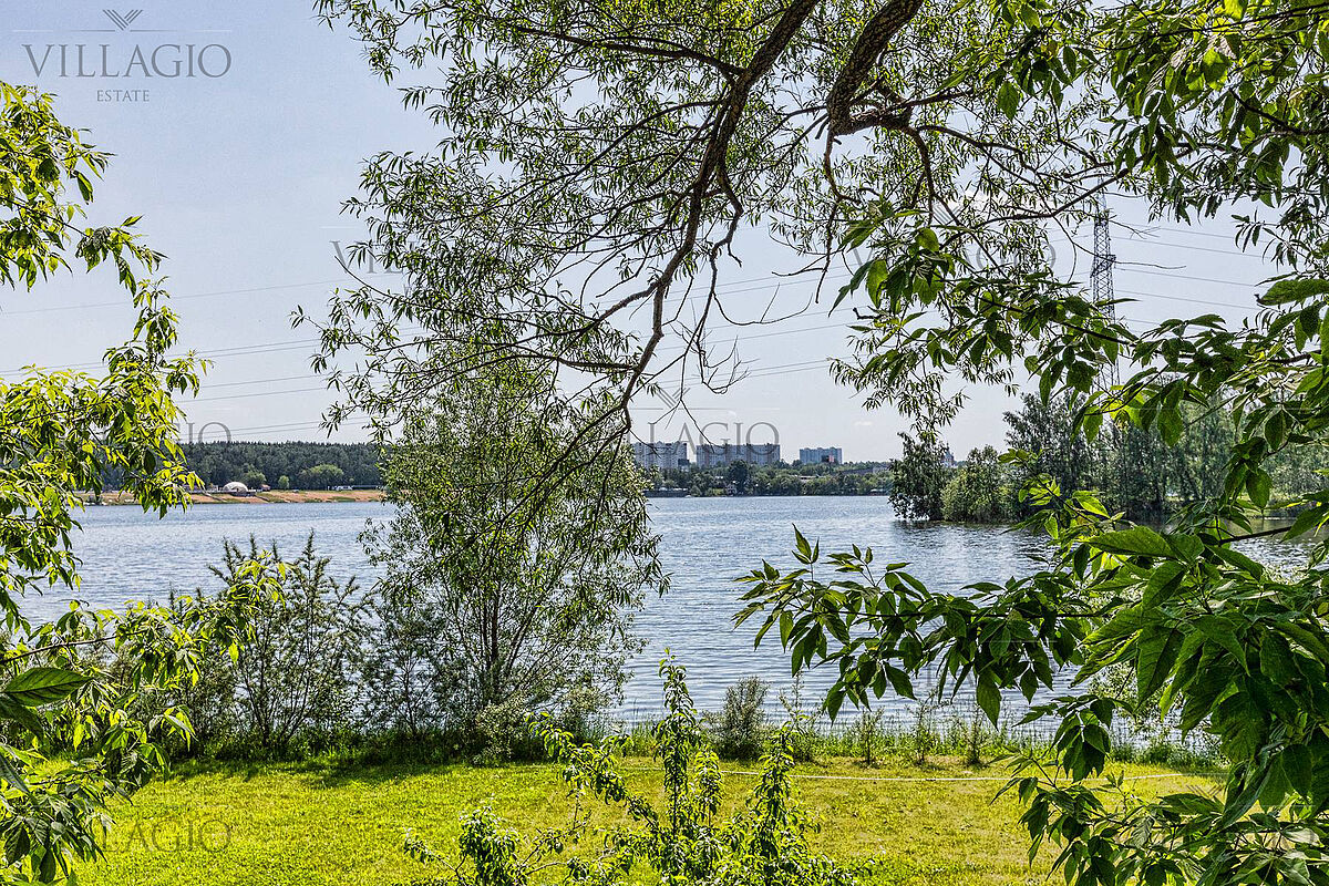 Береста -2