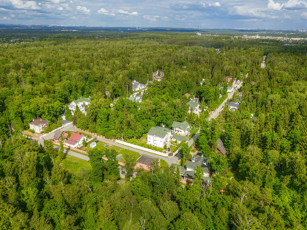 Лесной простор-3