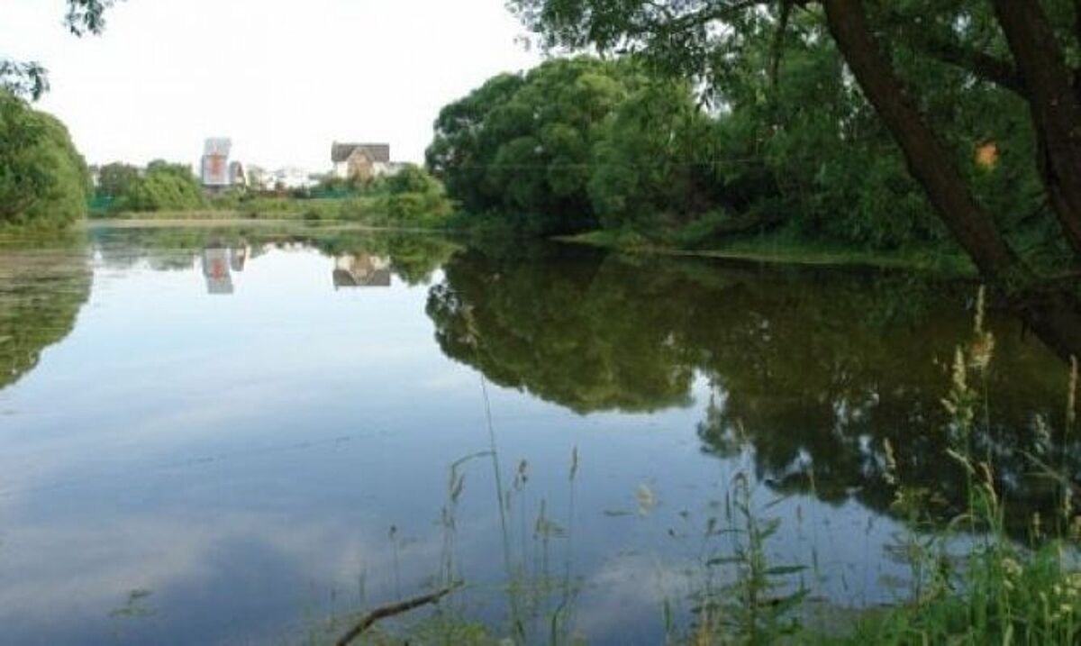 Апрелевка парк Бельгийский квартал