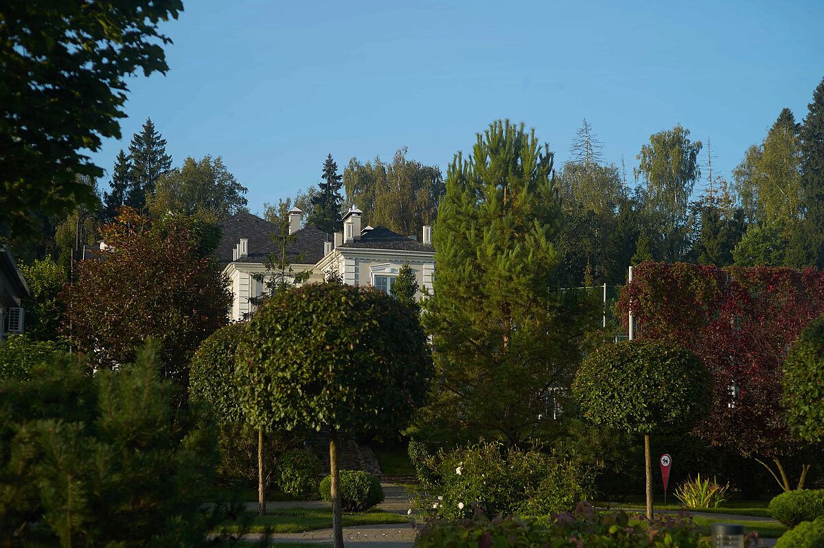 Резиденция в живописном лесу 