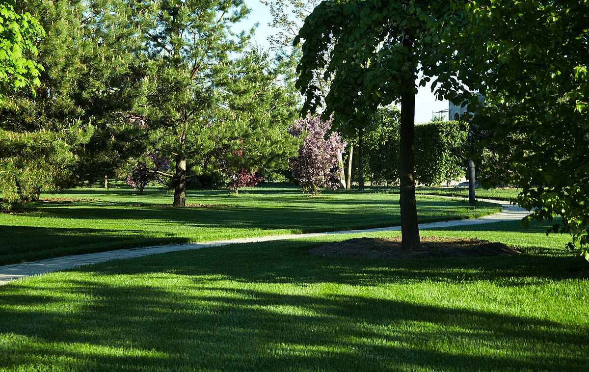 Прогулочная аллея 