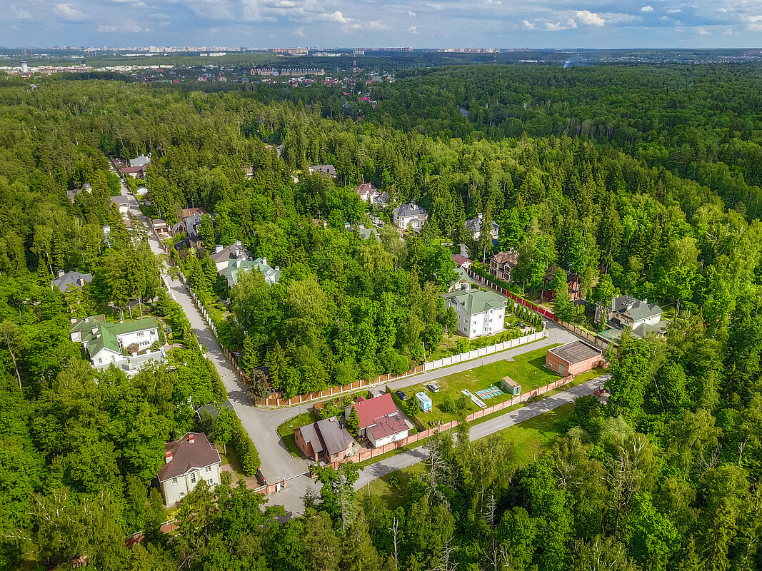 Лесной простор-3