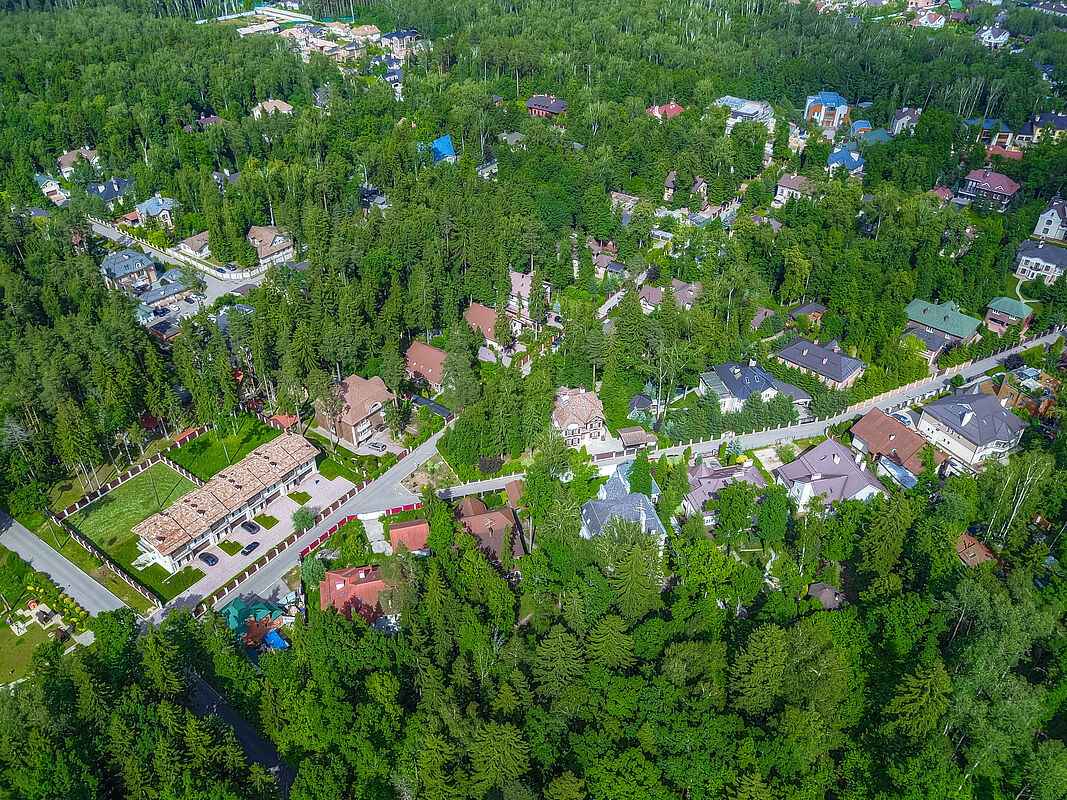 Лесной простор-3