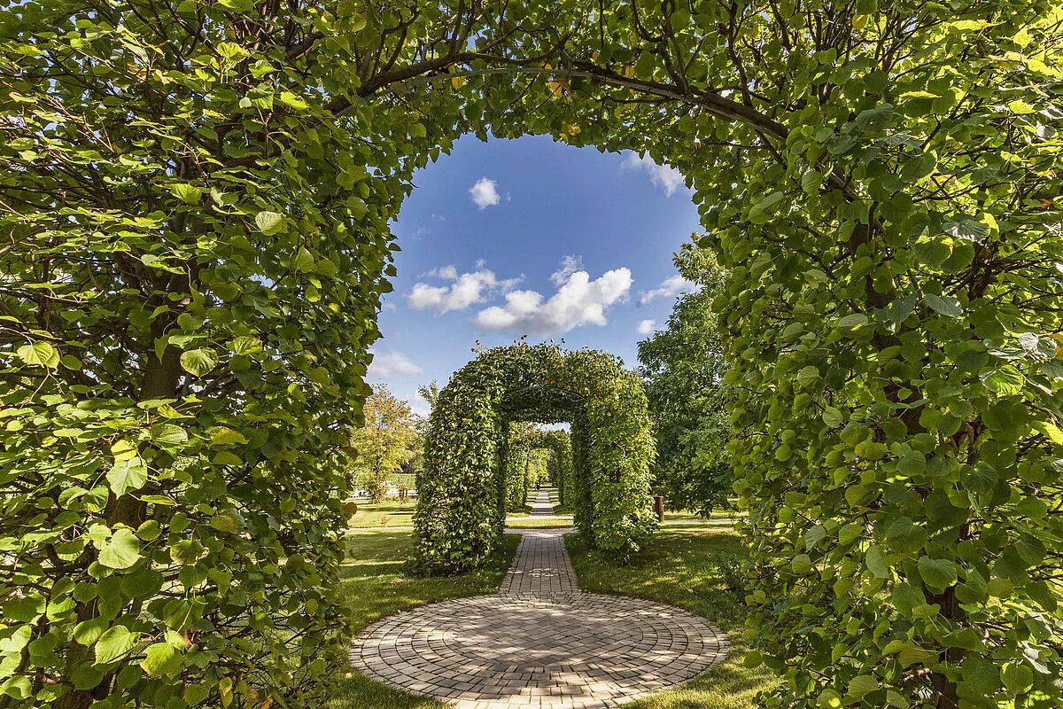 Арка Ландшафтного Парка