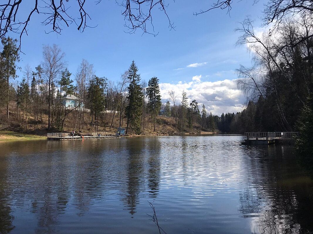 Успенские дачи