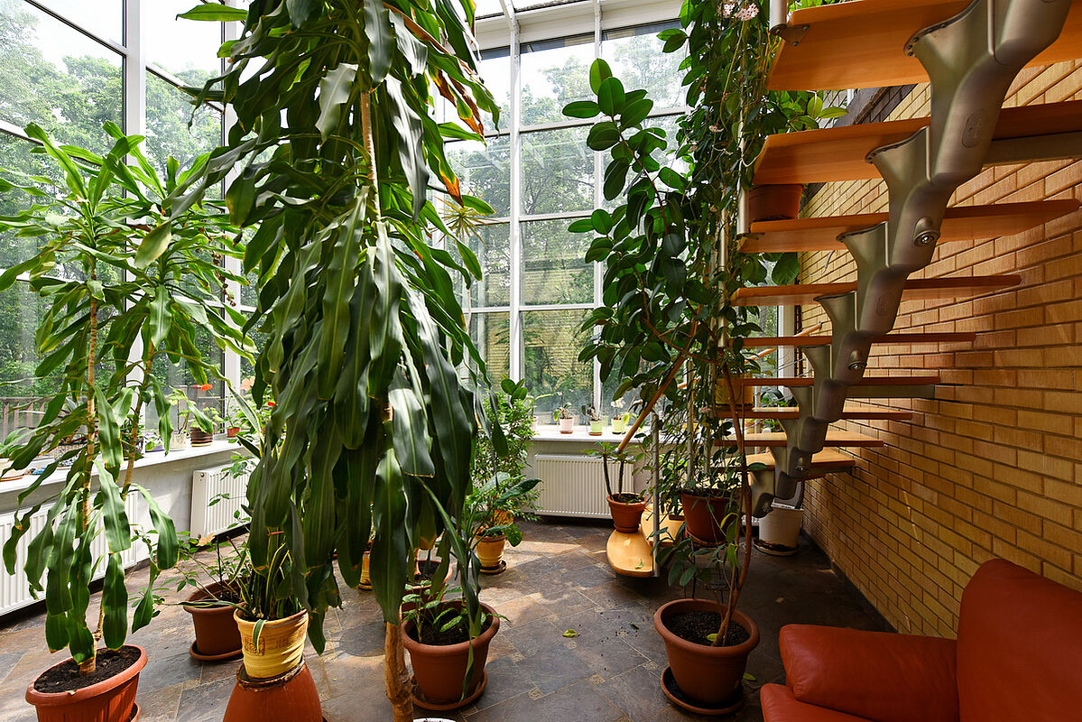 Загородный дом