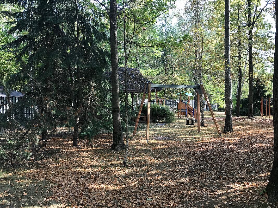 Успенские дачи