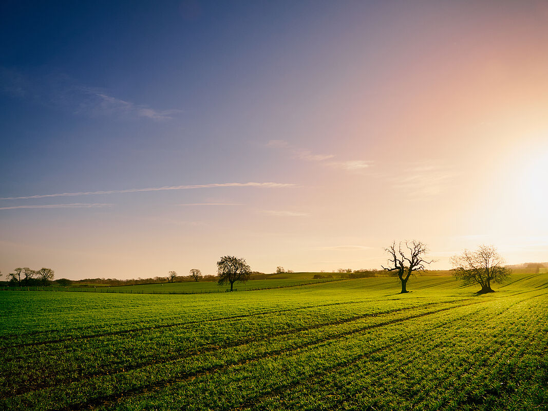 Большие земельные участки