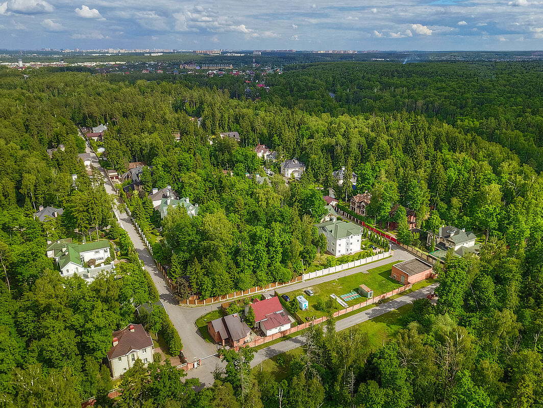 Лесной простор-3