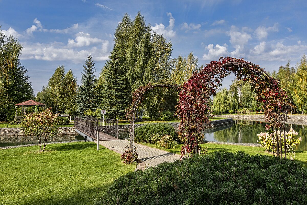 Ландшафтный дизайн 