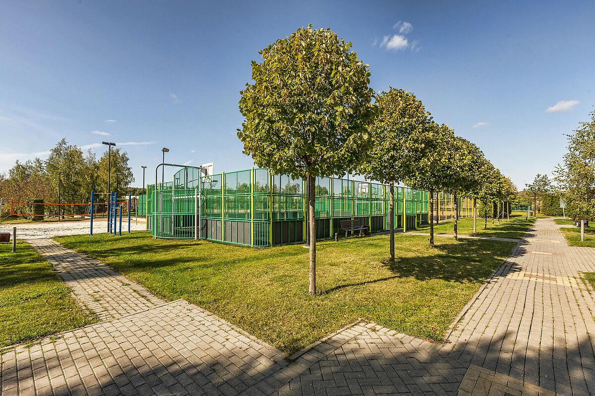 Покровский_14