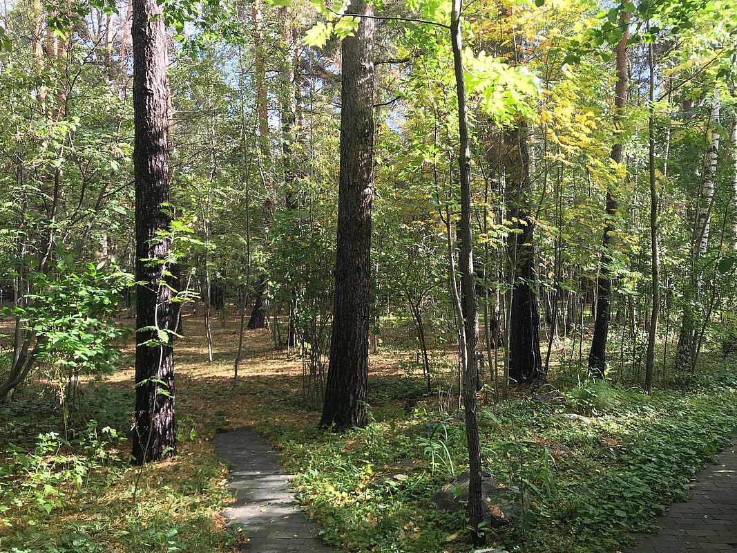 Успенские дачи