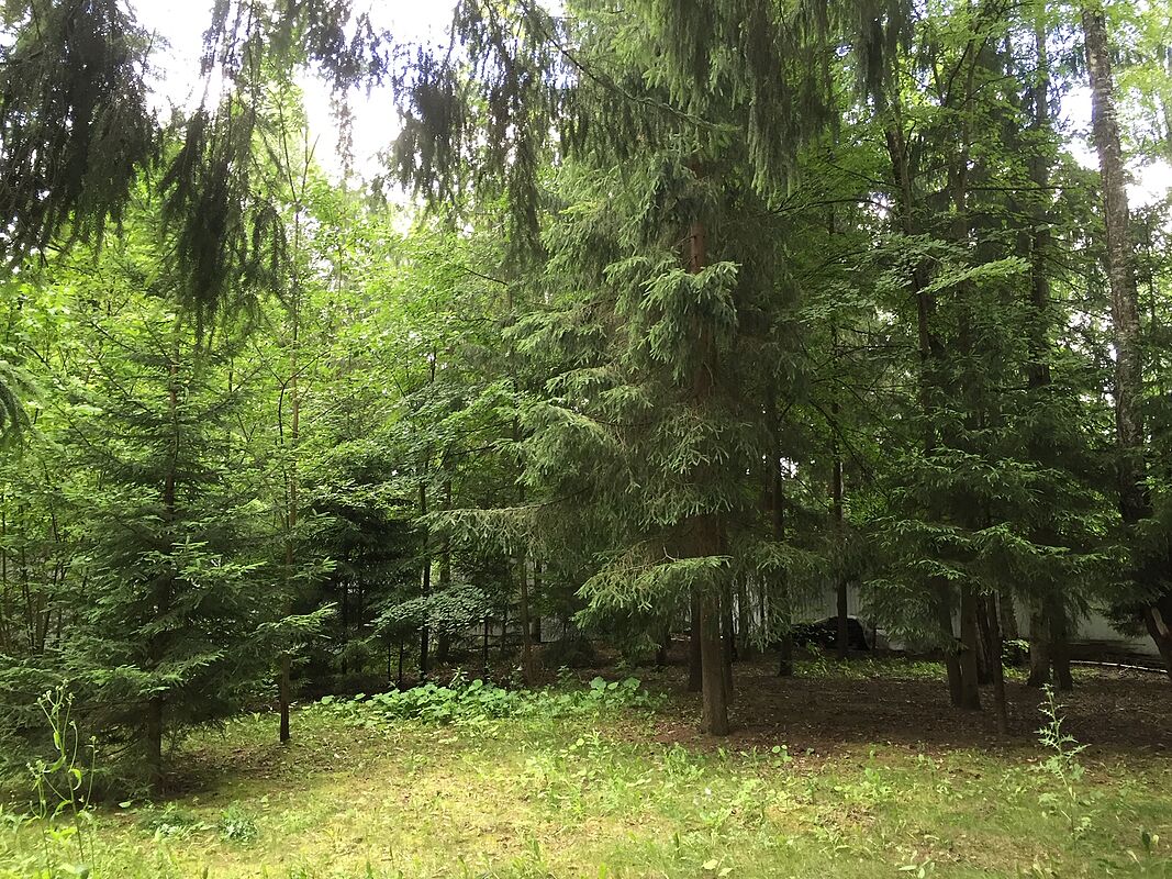 Успенские дачи