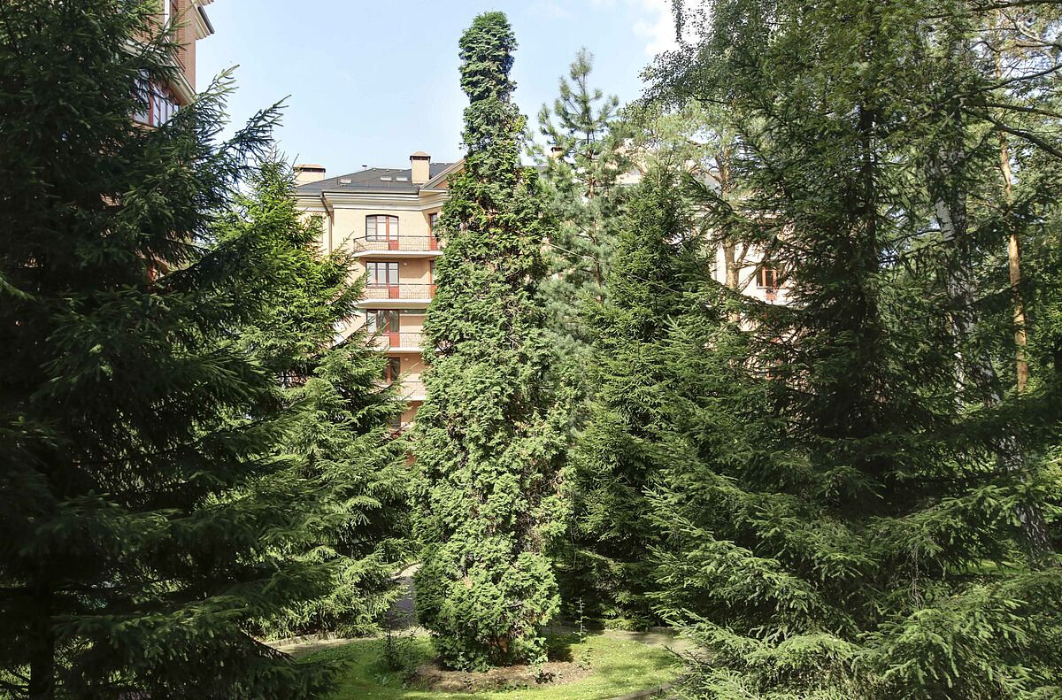 Фонд развития Международного университета