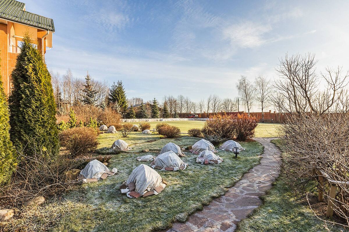Загородный дом