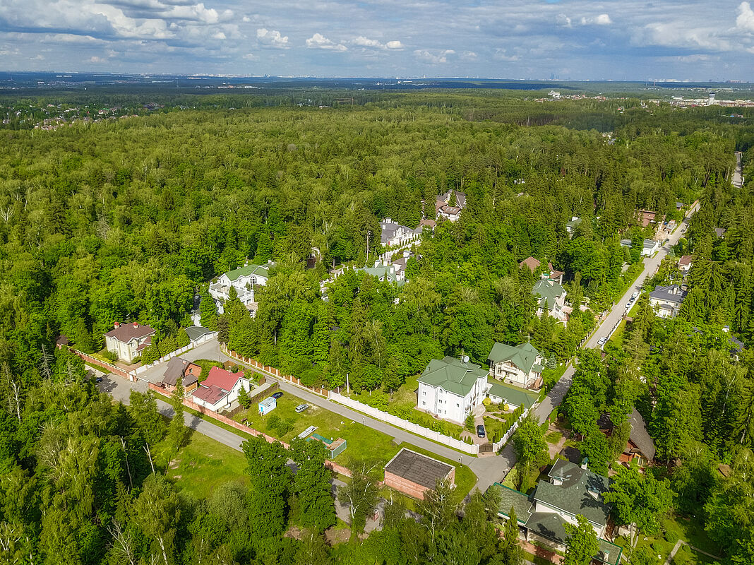 Лесной простор-3