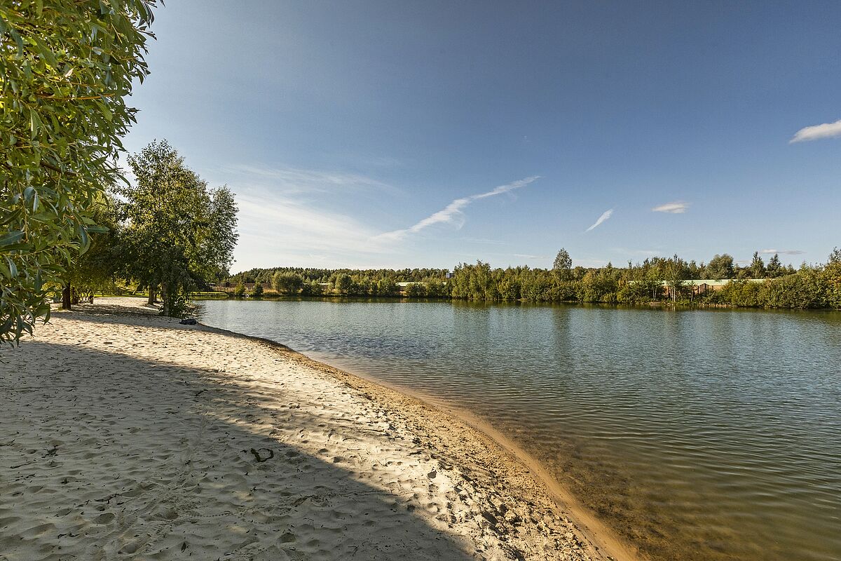 Покровский_8