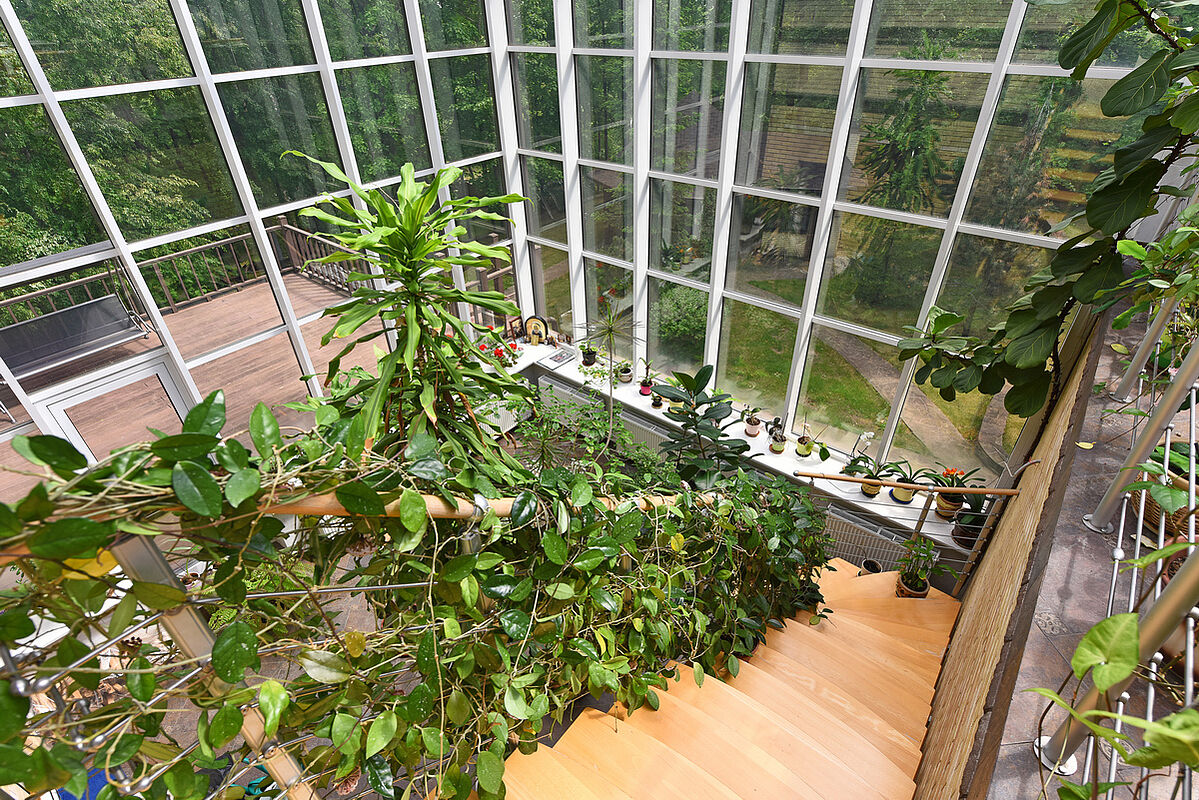 Загородный дом