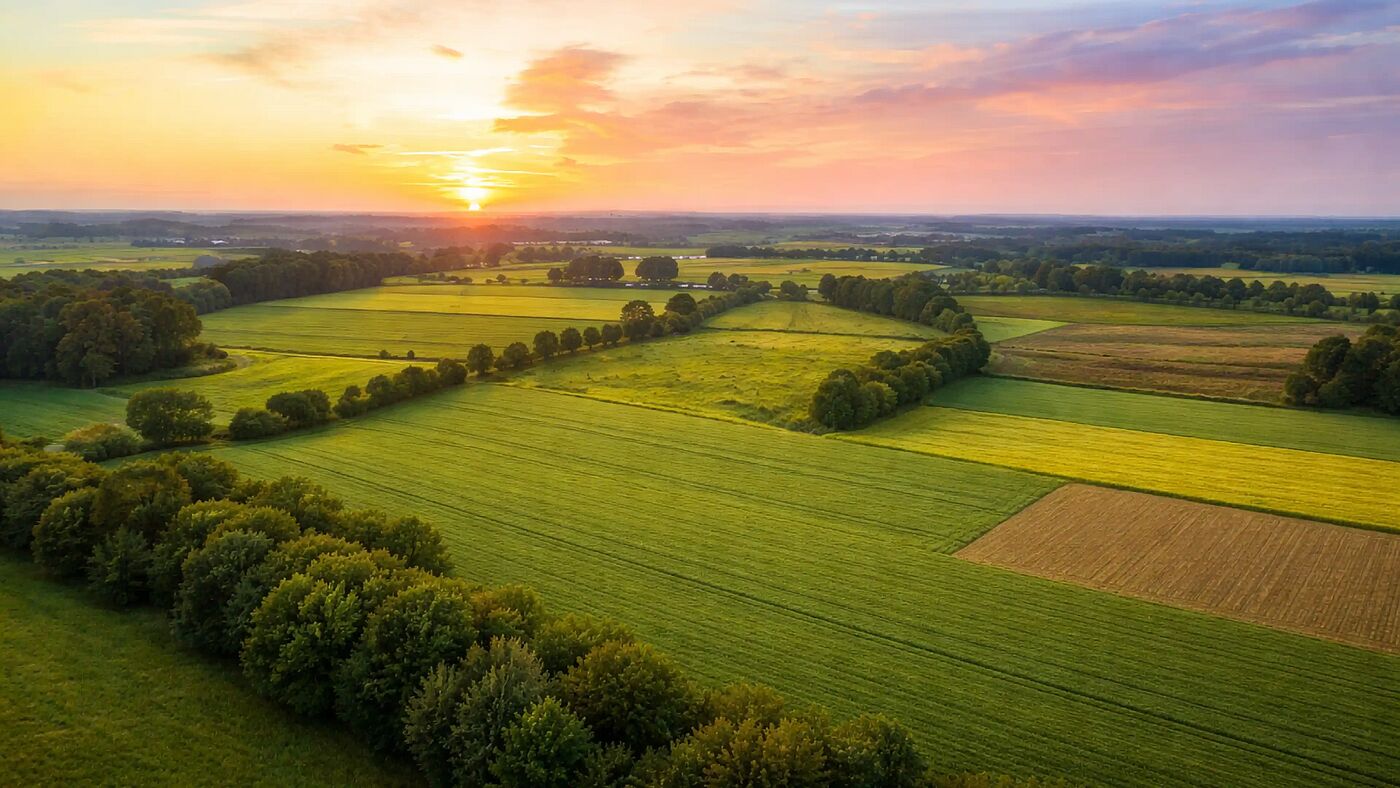 Участки от 1 га под коммерцию рядом с Аутлетом