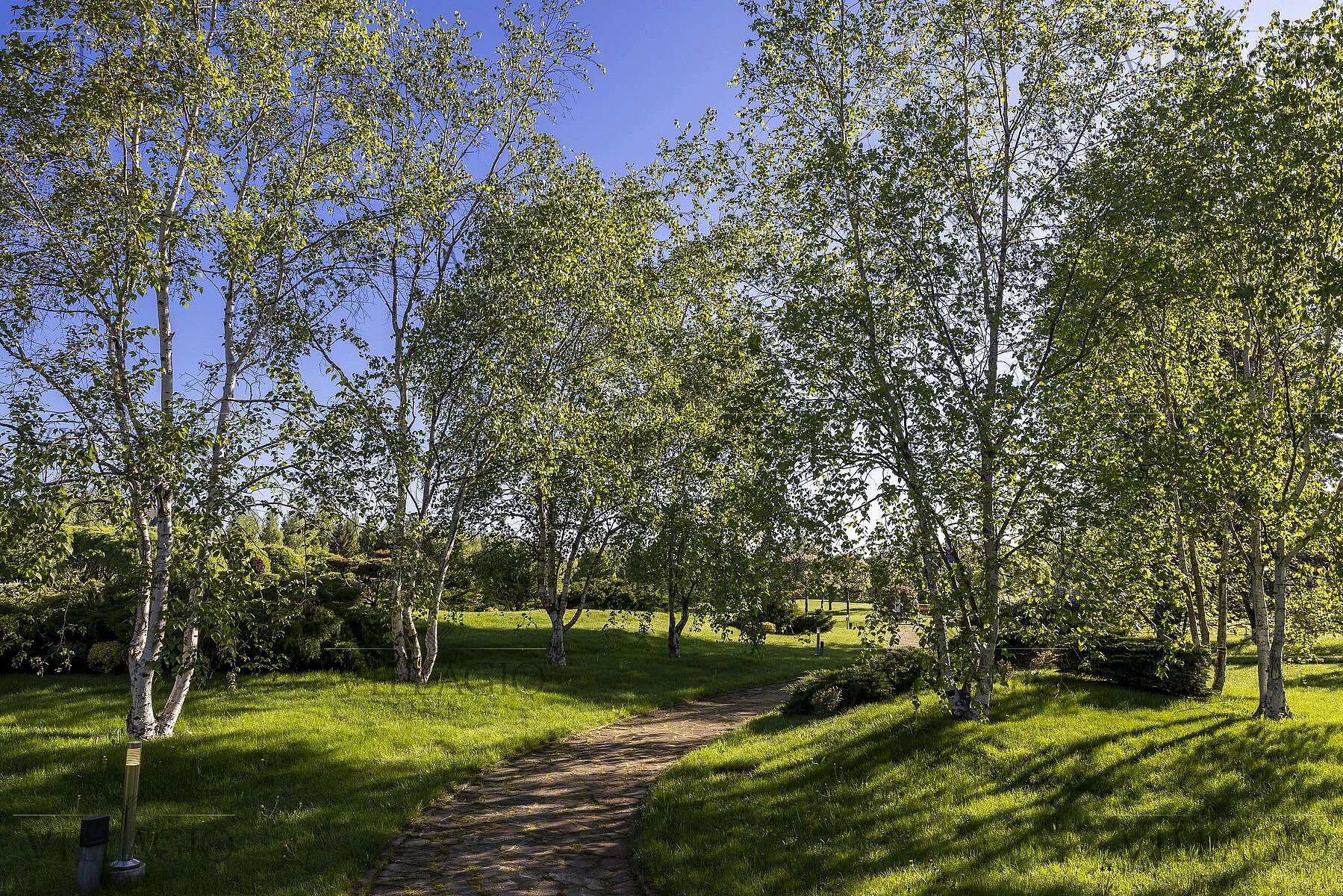 Элитные участки в закрытых поселках на Новой Риге